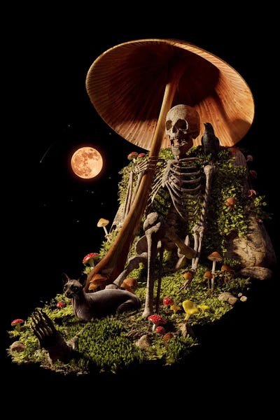 Skeletons: Myco Chill by Nicebleed