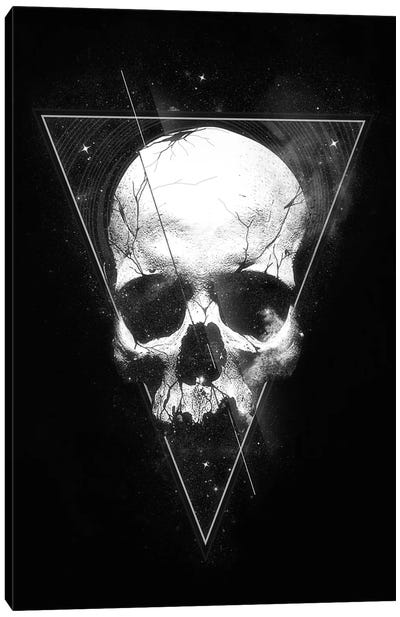 We Are All Made Of Stars Canvas Art Print - Skull Art