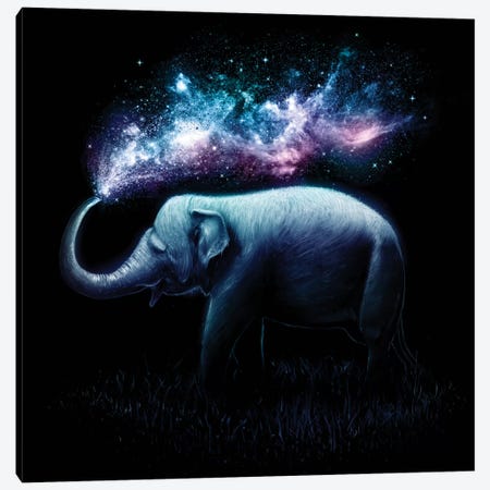 Elephant Splash Canvas Print #NID83} by Nicebleed Canvas Wall Art