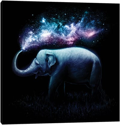 Elephant Splash Canvas Art Print - Galaxy Art