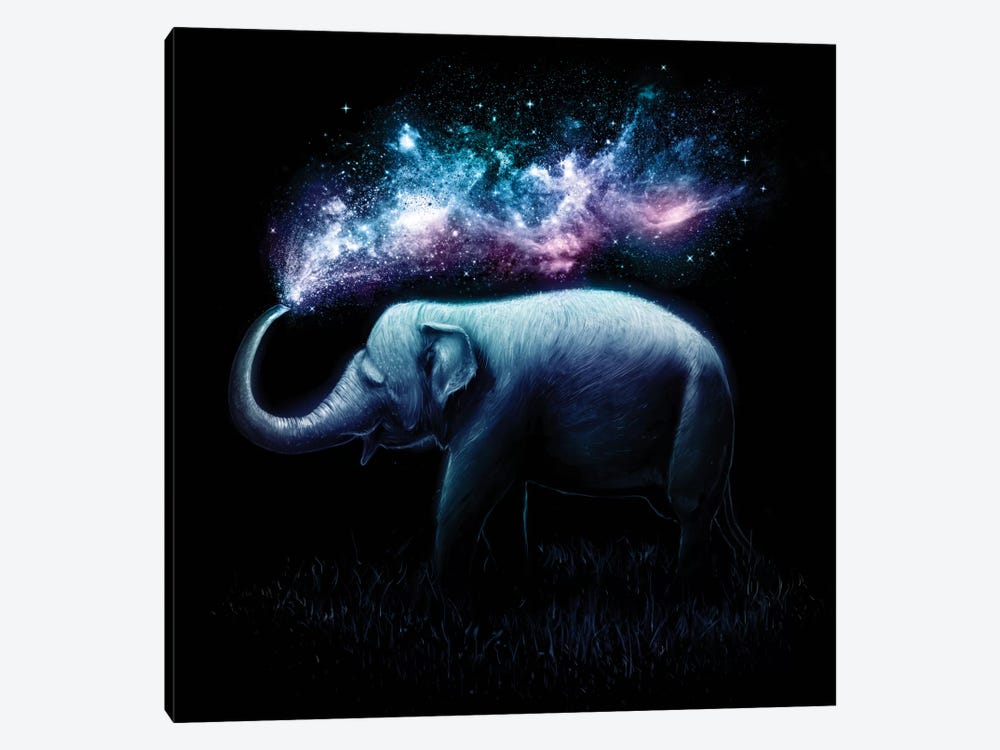 Elephant Splash by Nicebleed 1-piece Canvas Art