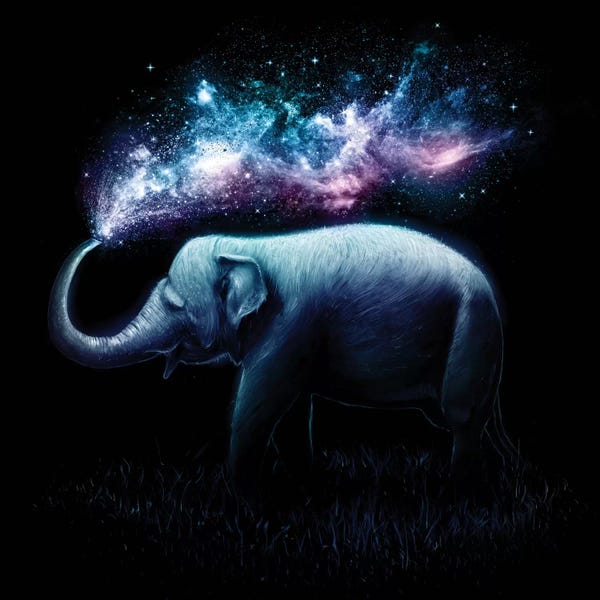 Kids Astronomy & Space Art: Elephant Splash by Nicebleed