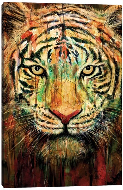 Tiger II Canvas Art Print - Animal Art
