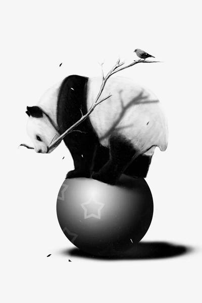 Pandas: Balance by Nicebleed