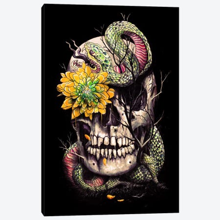 Snake And Skull Canvas Print #NID99} by Nicebleed Canvas Print