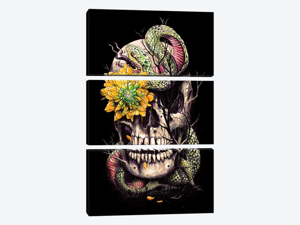 Snake And Skull by Nicebleed 3-piece Canvas Art Print
