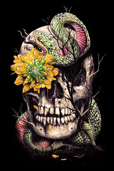 Nicebleed: Snake And Skull by Nicebleed