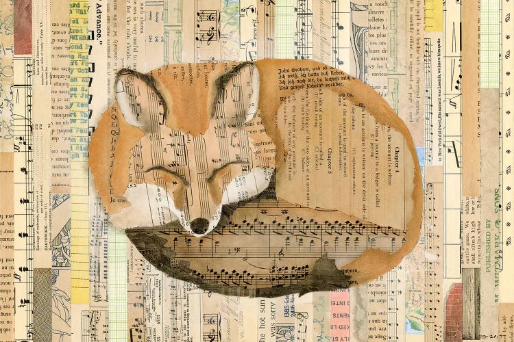 Red Fox Collage III