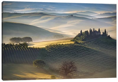 Belvedere Morning, Tuscany, Italy Canvas Art Print - Field, Grassland & Meadow Art