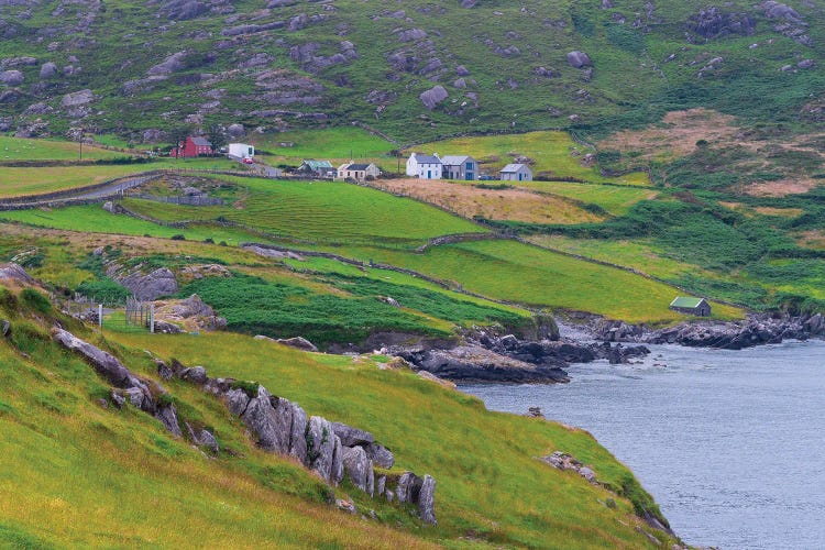 Irish Farm, Ireland by Jim Nilsen wall art