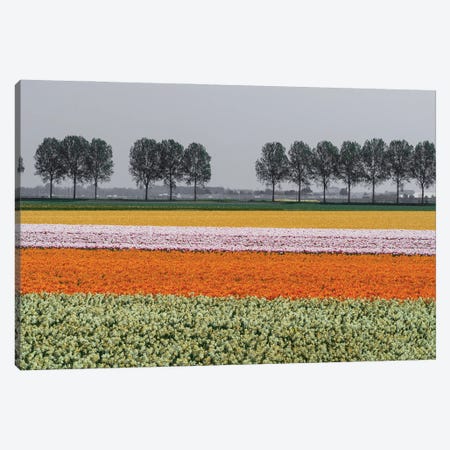 Lined Up, The Netherlands Canvas Print #NIL139} by Jim Nilsen Canvas Wall Art
