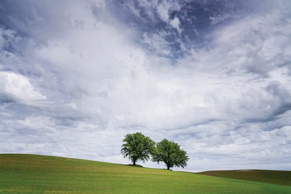 Jim Nilsen: Mates, The Palouse, Washington by Jim Nilsen