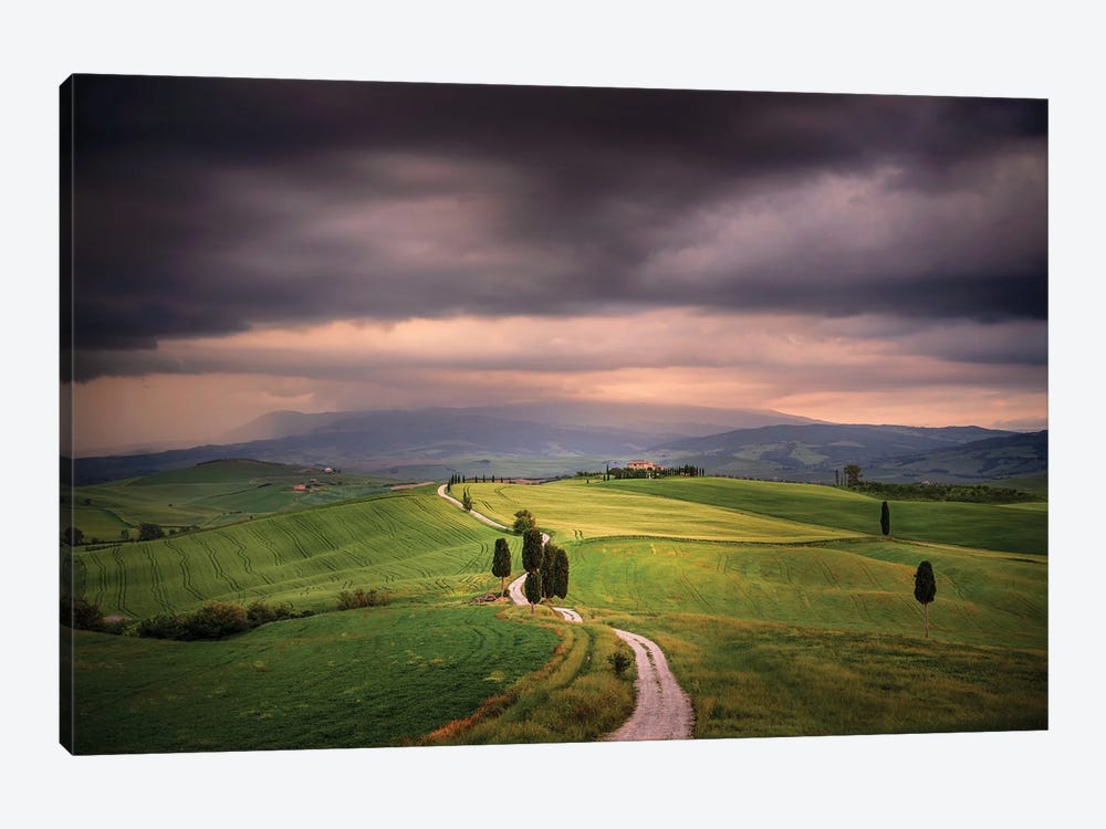 The Path Of The Gladiator, Tuscany, Italy by Jim Nilsen 1-piece Art Print