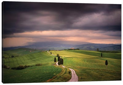 The Path Of The Gladiator, Tuscany, Italy Canvas Art Print - Jim Nilsen