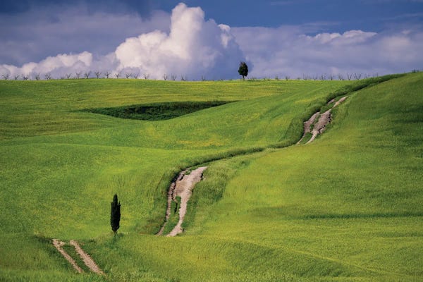 The Tuscan Way, Tuscany, Italy