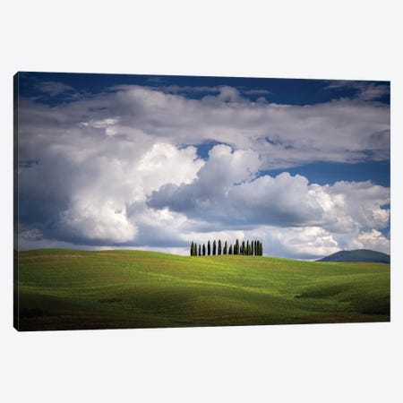 The Cypresses, Tuscany, Italy Canvas Print #NIL165} by Jim Nilsen Canvas Art