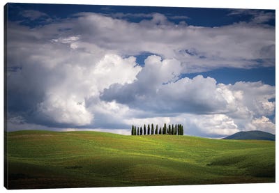 The Cypresses, Tuscany, Italy Canvas Art Print - Jim Nilsen