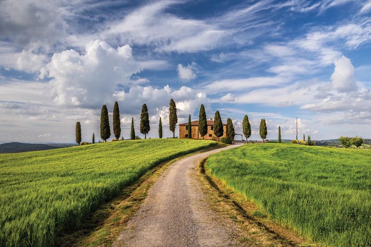 I Cipressini Ii, Tuscany, Italy