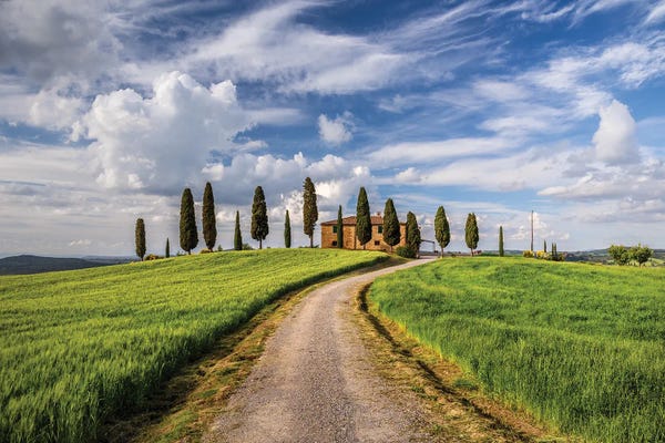 Jim Nilsen: I Cipressini Ii, Tuscany, Italy by Jim Nilsen