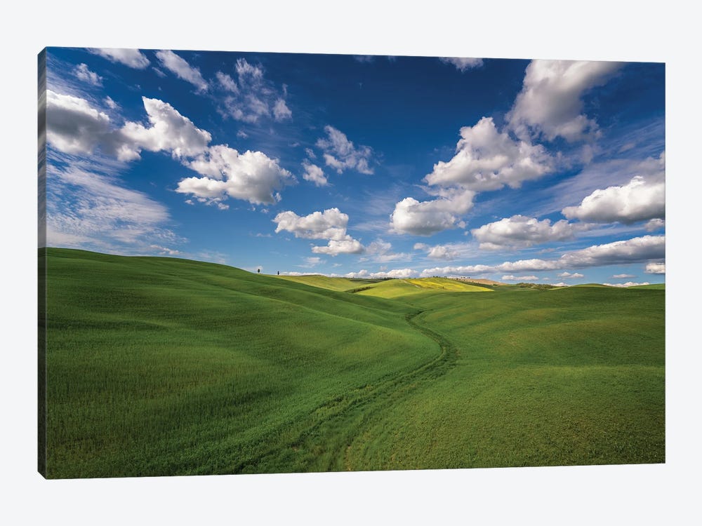 Tuscan Spring, Tuscany, Italy by Jim Nilsen 1-piece Canvas Print