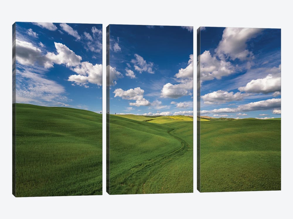 Tuscan Spring, Tuscany, Italy by Jim Nilsen 3-piece Canvas Print