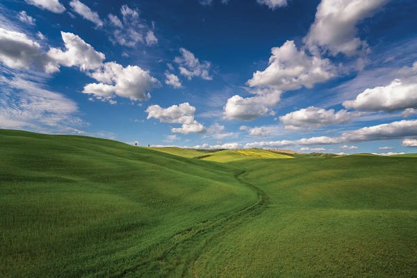 Jim Nilsen: Tuscan Spring, Tuscany, Italy by Jim Nilsen