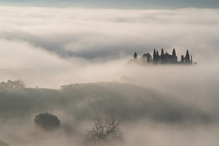 Out Of The Mist, Tuscany, Italy