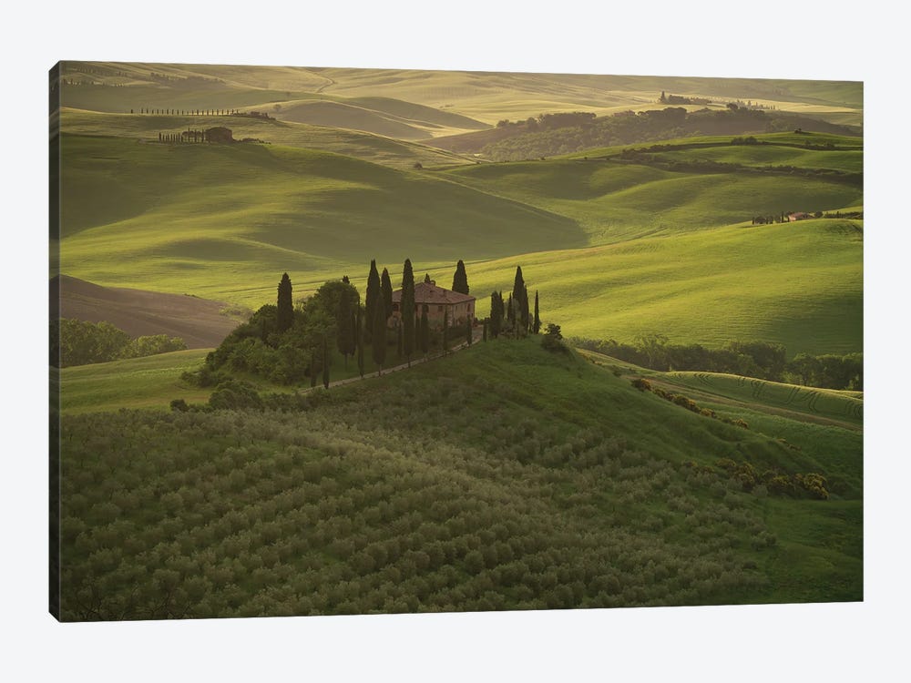 In The Valley, Tuscany, Italy by Jim Nilsen 1-piece Canvas Artwork