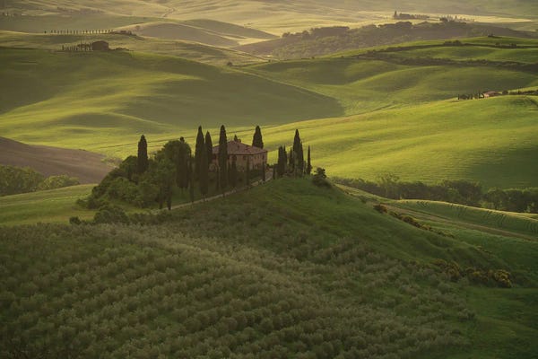 Jim Nilsen: In The Valley, Tuscany, Italy by Jim Nilsen