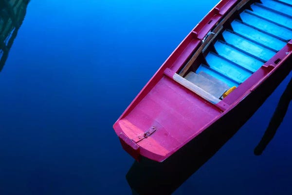 Jim Nilsen: Fuchsia On Blue, Venice, Italy by Jim Nilsen