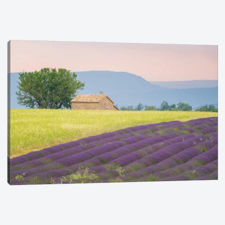 On The Valensole, Provence, France Canvas Print #NIL193} by Jim Nilsen Canvas Artwork