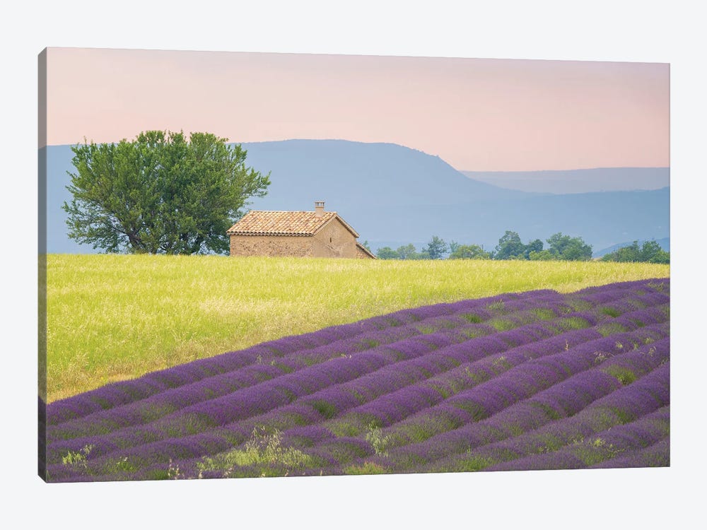 On The Valensole, Provence, France by Jim Nilsen 1-piece Canvas Wall Art