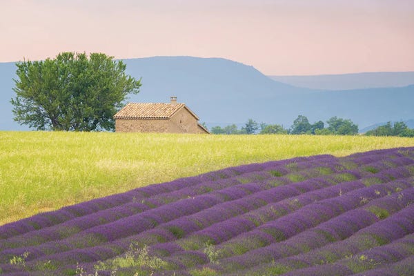 Jim Nilsen: On The Valensole, Provence, France by Jim Nilsen