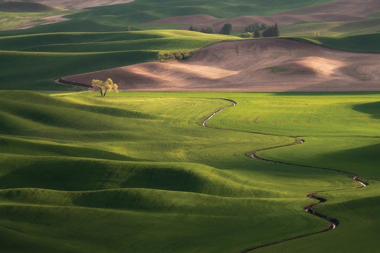 Palouse Sundown, The Palouse, Washington