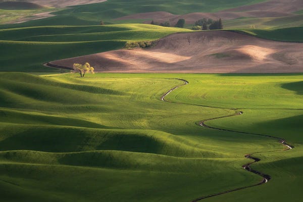 Jim Nilsen: Palouse Sundown, The Palouse, Washington by Jim Nilsen