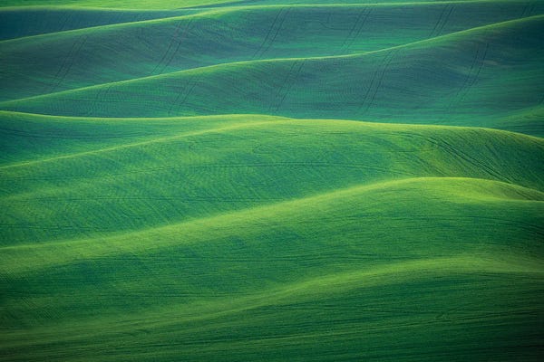 Jim Nilsen: Softness, The Palouse, Washington by Jim Nilsen