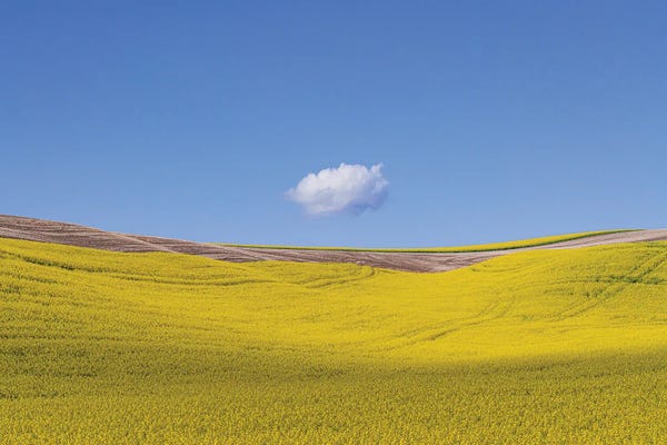 Jim Nilsen: Spot, The Palouse, Washington by Jim Nilsen