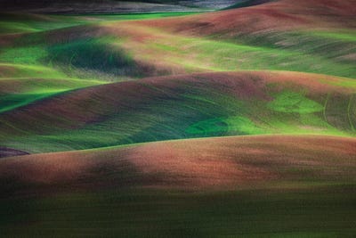 Springtime, The Palouse, Washington by Jim Nilsen canvas print