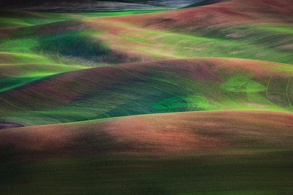 Jim Nilsen: Springtime, The Palouse, Washington by Jim Nilsen