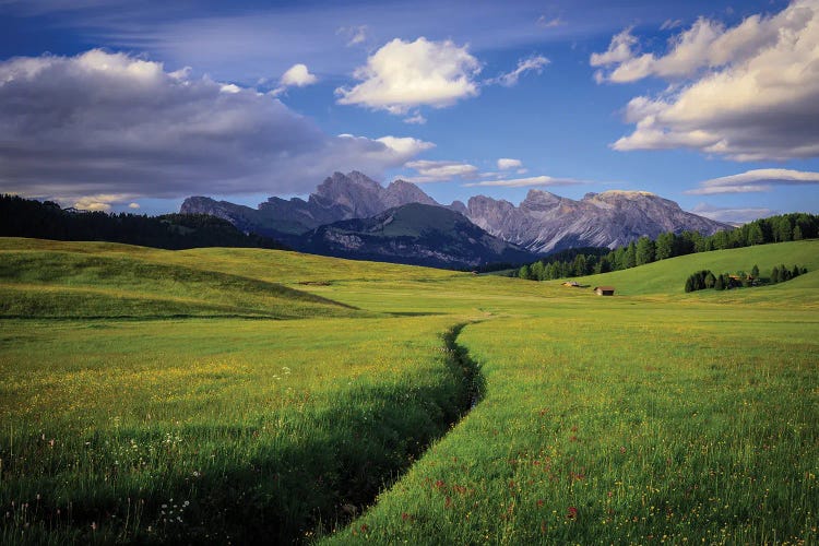 The Alpe Di Siusi, Dolomites, Italy by Jim Nilsen wall art