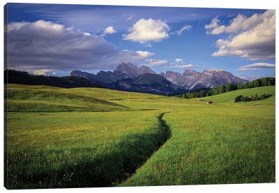 The Alpe Di Siusi, Dolomites, Italy Canvas Art Print - Jim Nilsen