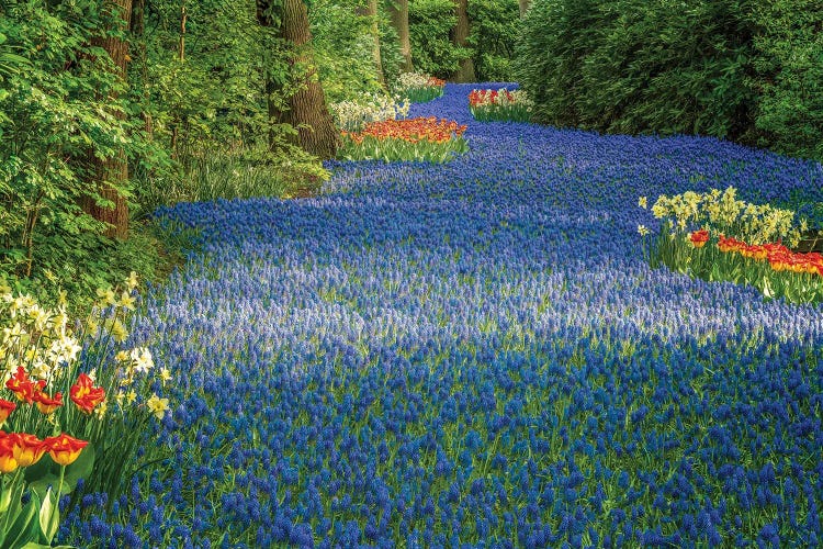 The Blue River, Keukenhof, The Netherlands