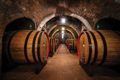 The Cellar, Montepulciano, Italy by Jim Nilsen acrylic art print