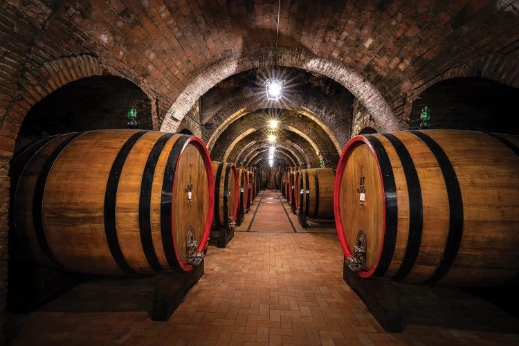 The Cellar, Montepulciano, Italy by Jim Nilsen wall art