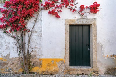 The Front Door, Obidos, Portugal by Jim Nilsen canvas print