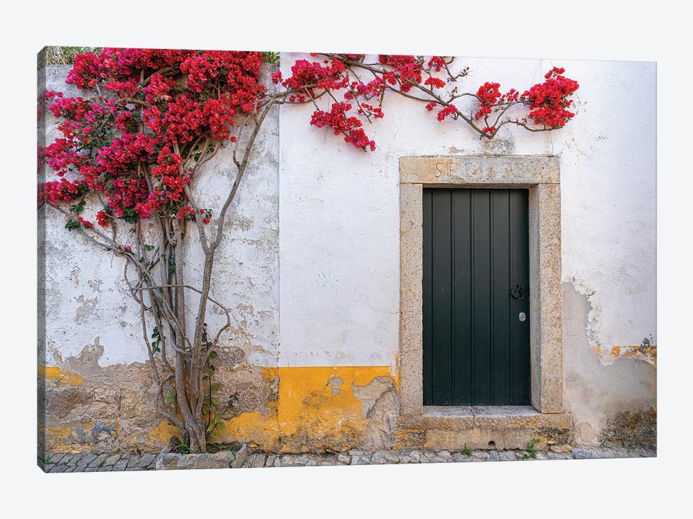 The Front Door, Obidos, Portugal by Jim Nilsen 1-piece Art Print