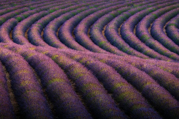 The Tubes, Provence, France