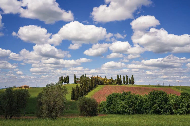 The Villa, Tuscany, Italy by Jim Nilsen wall art