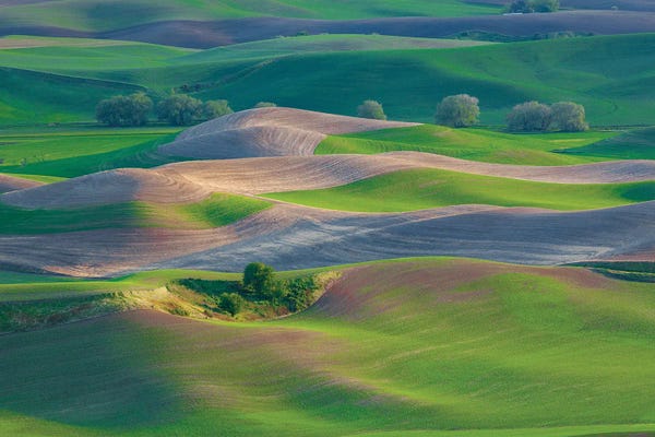 Jim Nilsen: Touch, The Palouse, Washington by Jim Nilsen