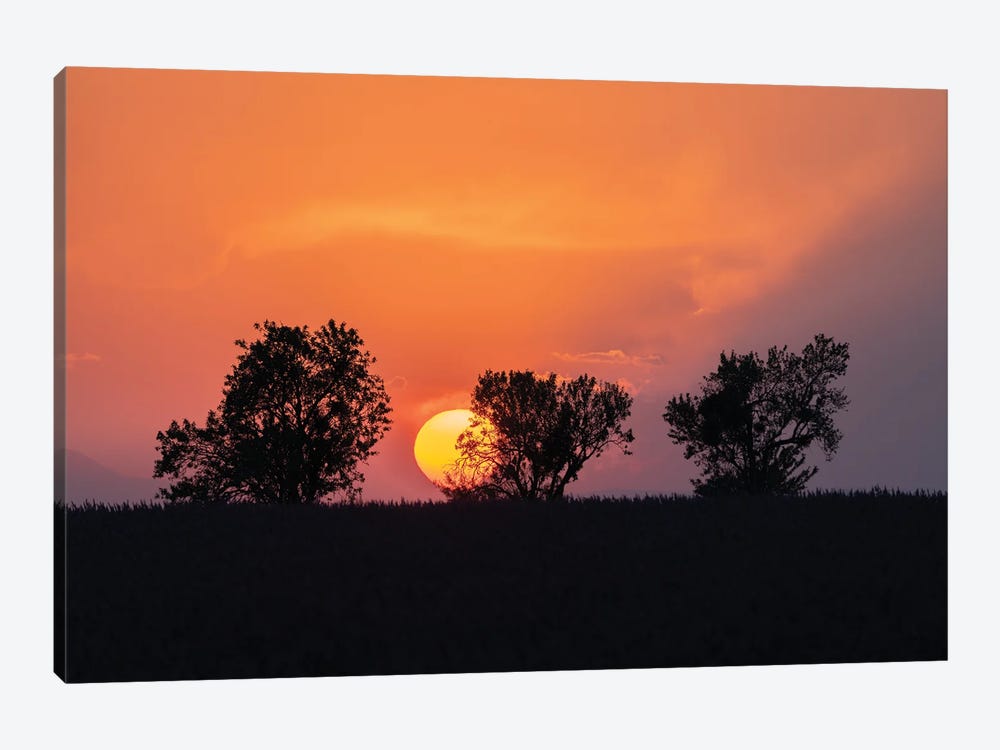 Valensole Sunset, Provence, France by Jim Nilsen 1-piece Canvas Artwork